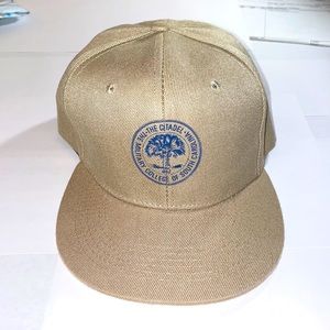 Brand New The Citadel (South Carolina) Hat